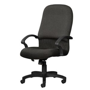 Silla Ejecutiva Etna Tela Mini Grafito