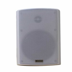 Bocina de Pared RedLeaf 20W