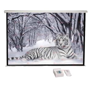 Pantalla RedLeaf Eléctrica con Control Remoto 60x80 inc
