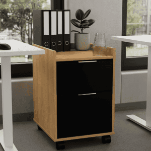 Archivo de oficina con plantas y accesorios decorativos.